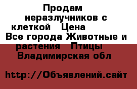 Продам 2 неразлучников с клеткой › Цена ­ 2 500 - Все города Животные и растения » Птицы   . Владимирская обл.